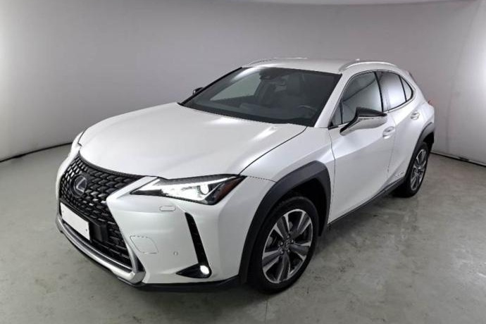 LEXUS UX 300e Executive