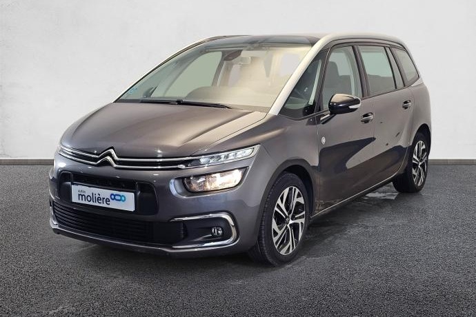 CITROEN C4 BlueHDi 130 SANDS C-Series 96 kW (131 CV)